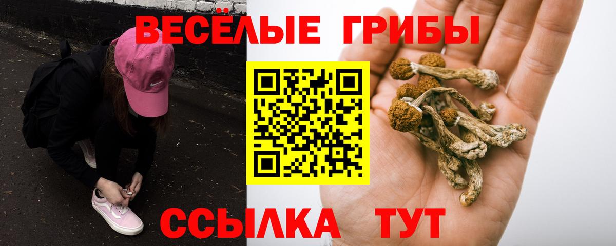 Галлюциногенные грибы прущие грибы  Вход с VPN  сколько стоит  Стрежевой  Галлюциногенные грибы MAGIC MUSHROOMS 